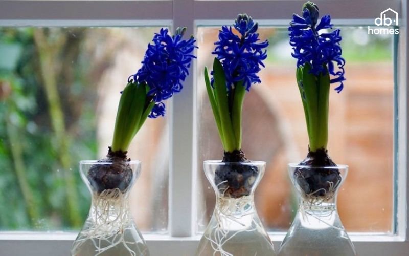 Một số loại cây thải CO2 vào ban đêm có thể làm không khí trong phòng ngủ ngột ngạt