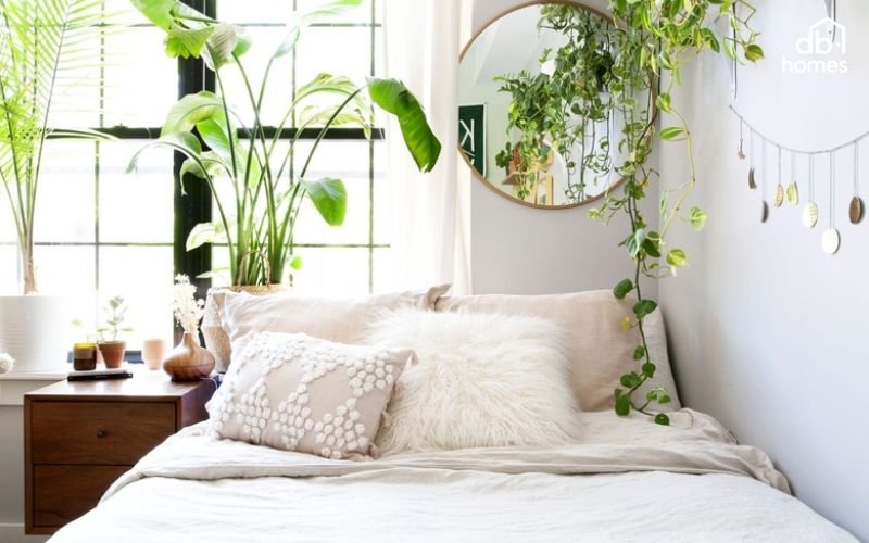 Chọn vị trí đặt cây xanh trong phòng ngủ cần phù hợp với ánh sáng, điều kiện sinh lý của cây