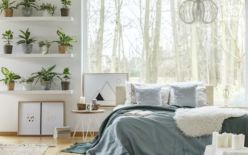 Thường xuyên vệ sinh để cây phát triển tốt, tránh nấm mốc