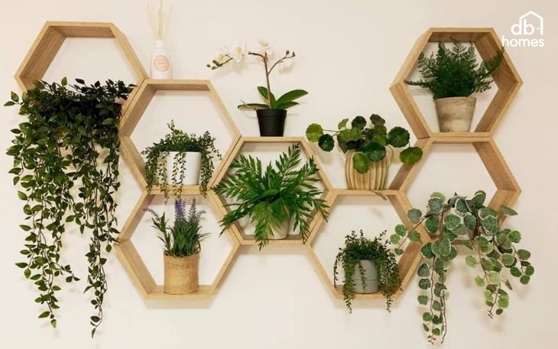 Sử dụng kệ cây xanh để sắp xếp và bài trí nhiều loại cây xanh khác nhau