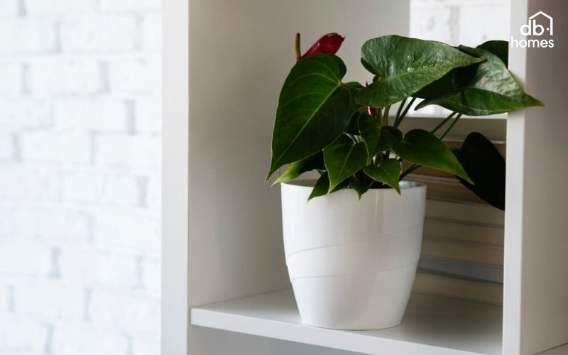 Cây xanh bố trí hợp lý giúp tạo điểm nhấn độc đáo và tận dụng không gian gầm cầu thang