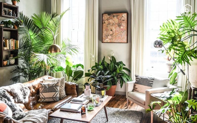 Trang trí cây xanh trong phòng khách cần lưu ý bố trí hợp lý, chăm sóc đúng cách và đảm bảo yếu tố phong thủy